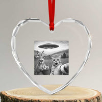 Funny Easter Heart Crystal Glass Ornament Christian Cat Selfie Bunny Meme