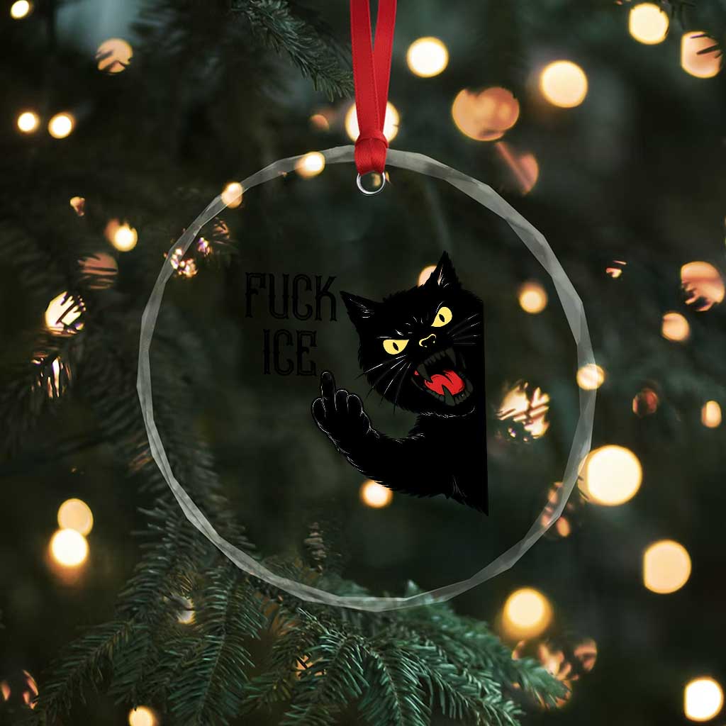 Funny Fck Ice Black Cat Crystal Glass Ornament Resist Minneapolis Political