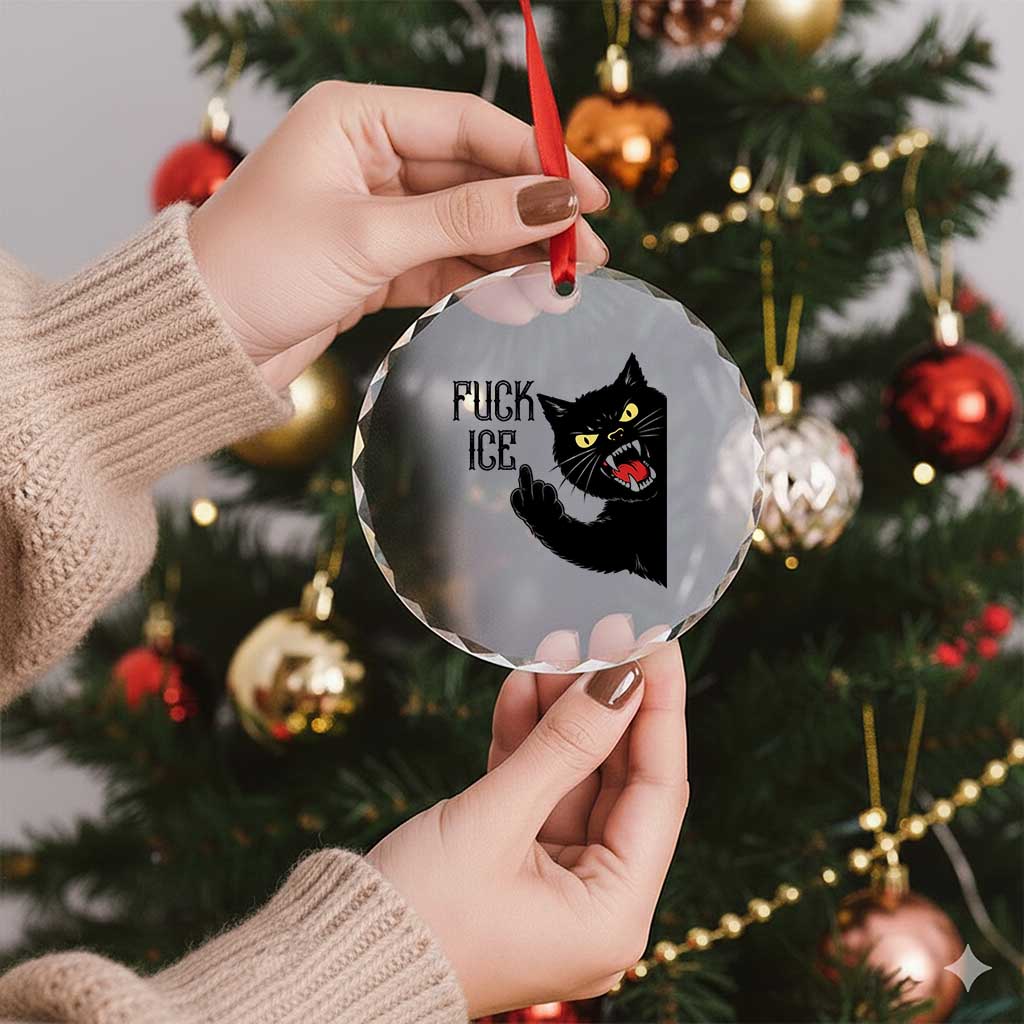 Funny Fck Ice Black Cat Crystal Glass Ornament Resist Minneapolis Political