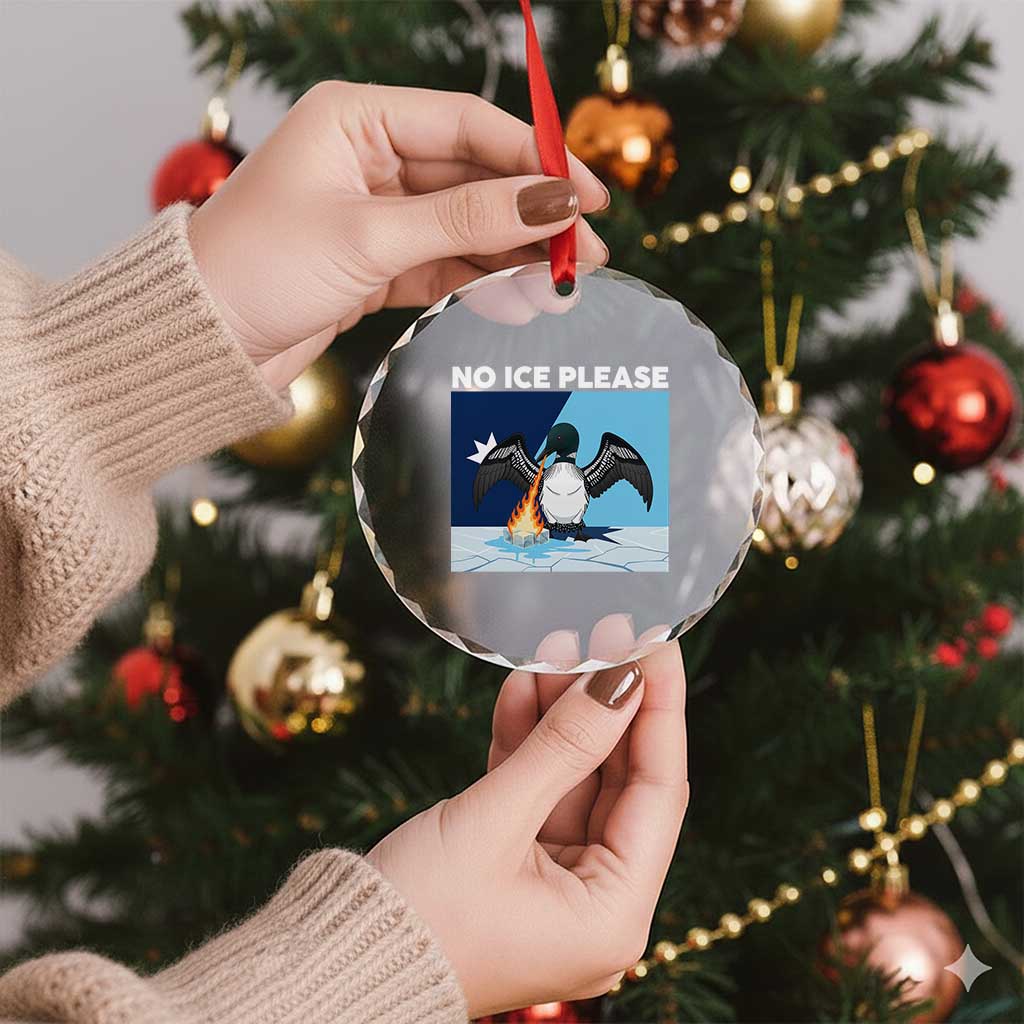 Funny Fire Breathing Loon Crystal Glass Ornament No Ice Please