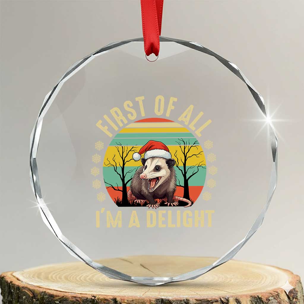 Funny First Of All I'm A Delight Crystal Glass Ornament Angry Opossum Possum Xmas TS11