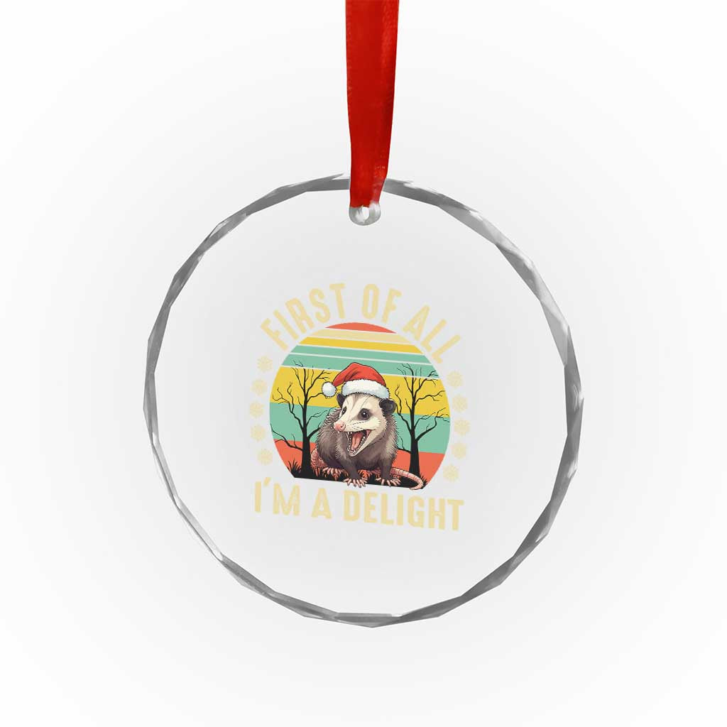 Funny First Of All I'm A Delight Crystal Glass Ornament Angry Opossum Possum Xmas TS11