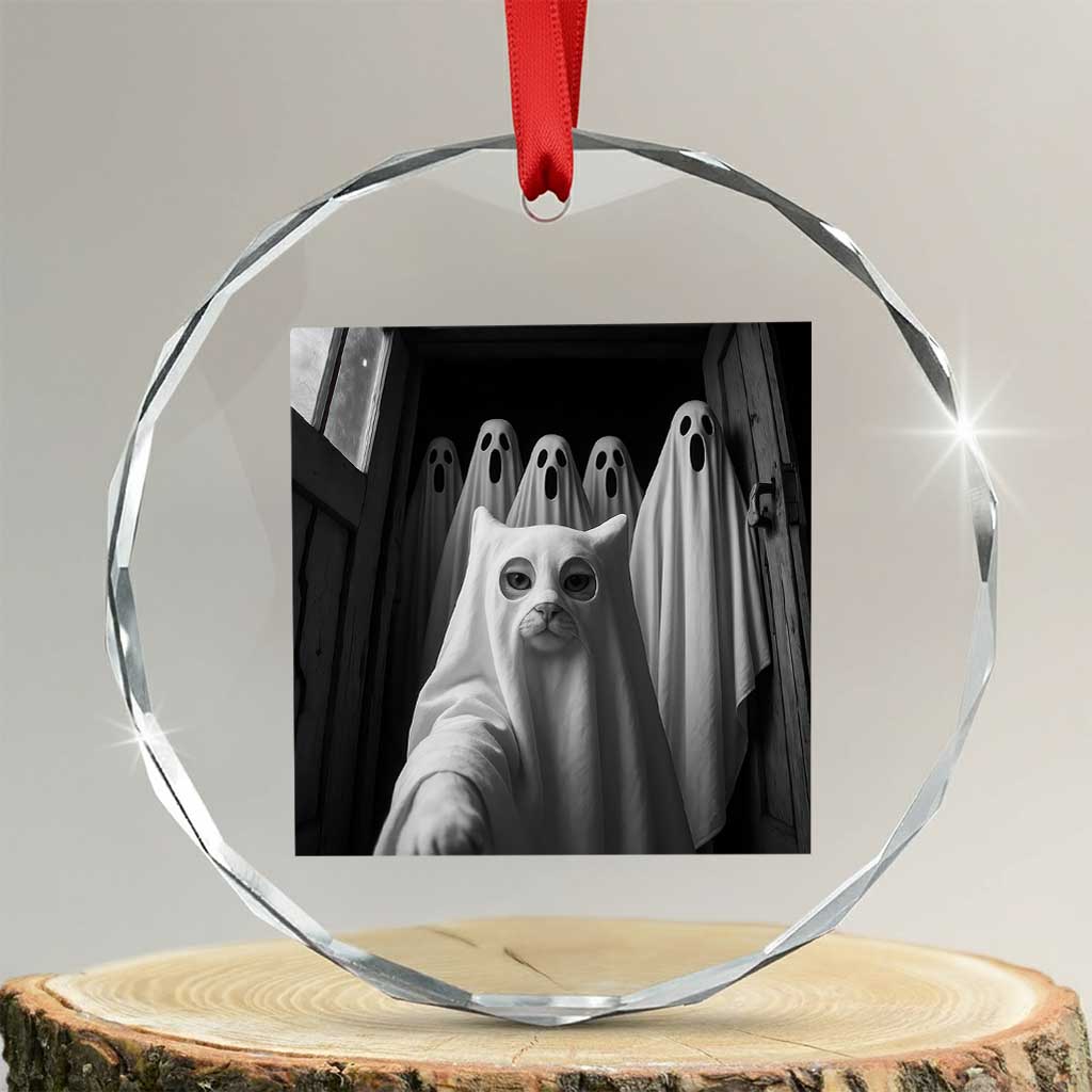 Funny Ghost Cat Halloween Meme Crystal Glass Ornament - Wonder Print Shop