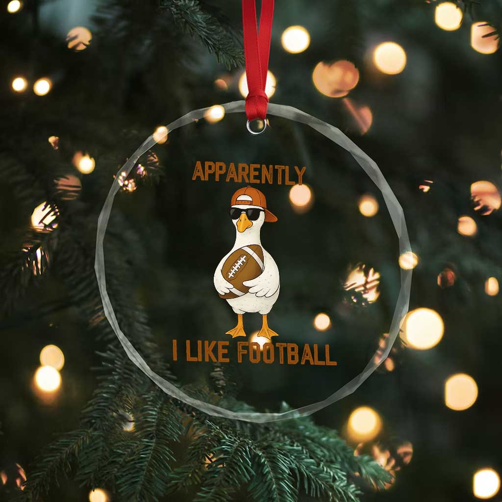 Funny Goose Football Meme Crystal Glass Ornament Apparently I Like Football - Wonder Print Shop