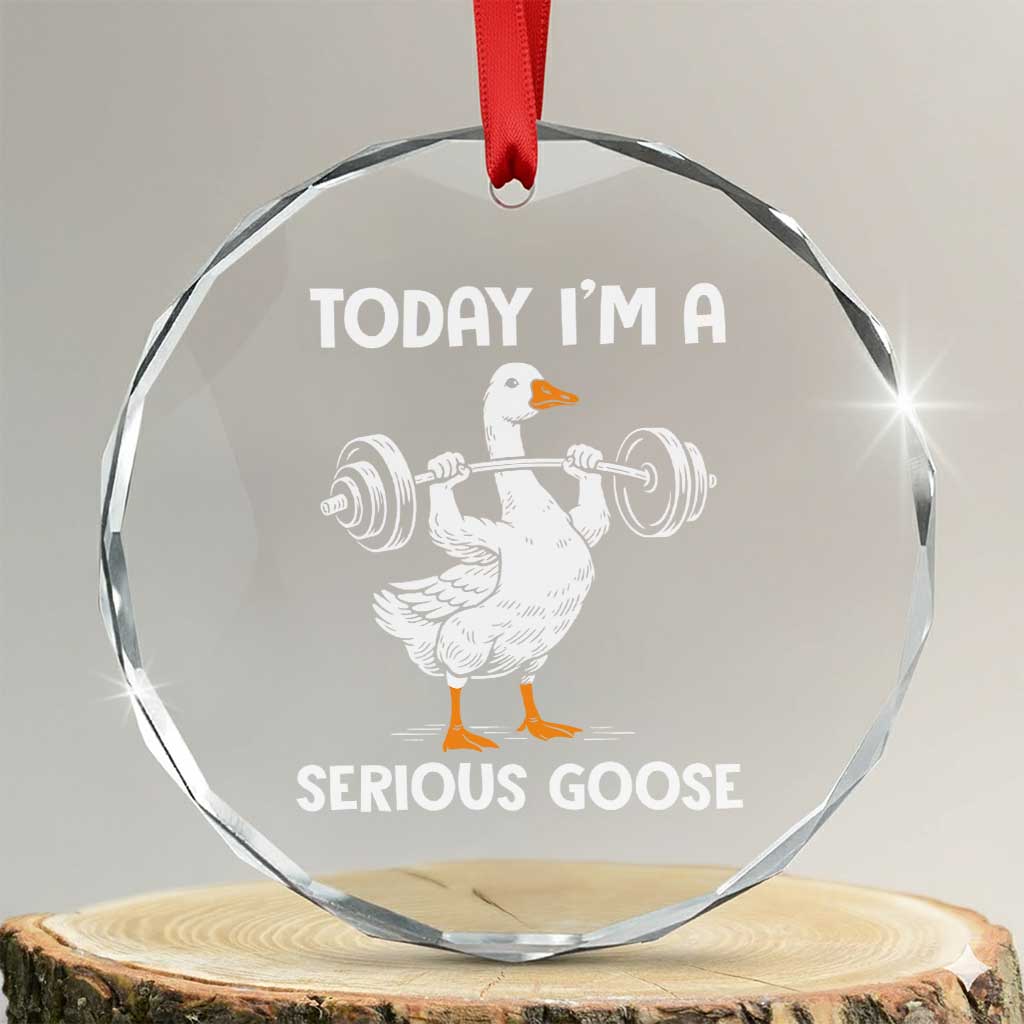Funny Goose Weight Lifting Crystal Glass Ornament Today Im A Serious Goose Weightlifter Gym Workout - Wonder Print Shop