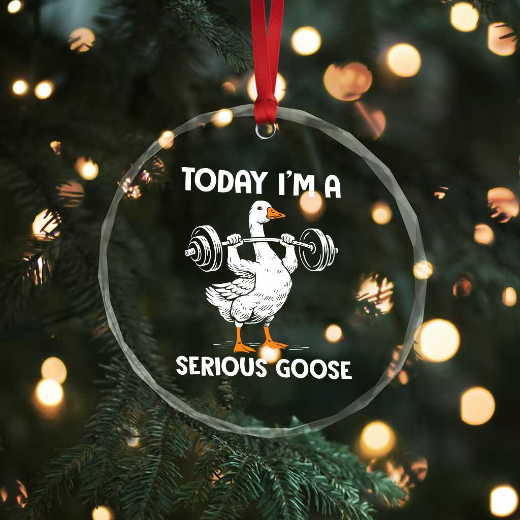 Funny Goose Weight Lifting Crystal Glass Ornament Today Im A Serious Goose Weightlifter Gym Workout - Wonder Print Shop