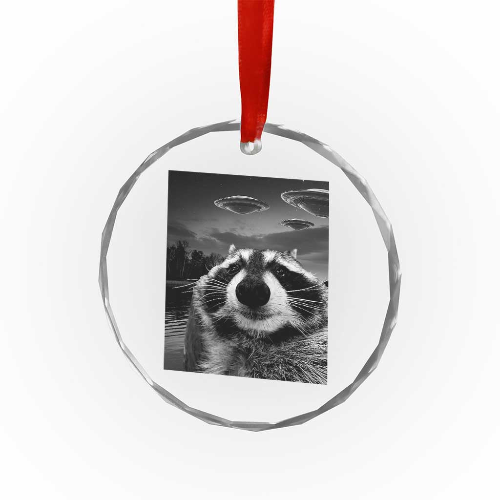 Funny Graphic Racoon Selfie with UFOs Weird Crystal Glass Ornament TS10
