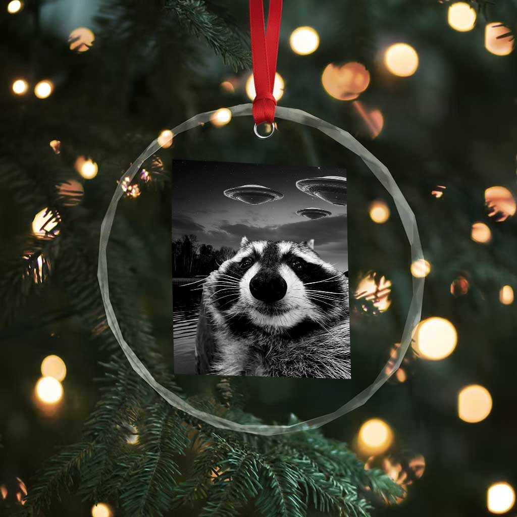 Funny Graphic Racoon Selfie with UFOs Weird Crystal Glass Ornament TS10