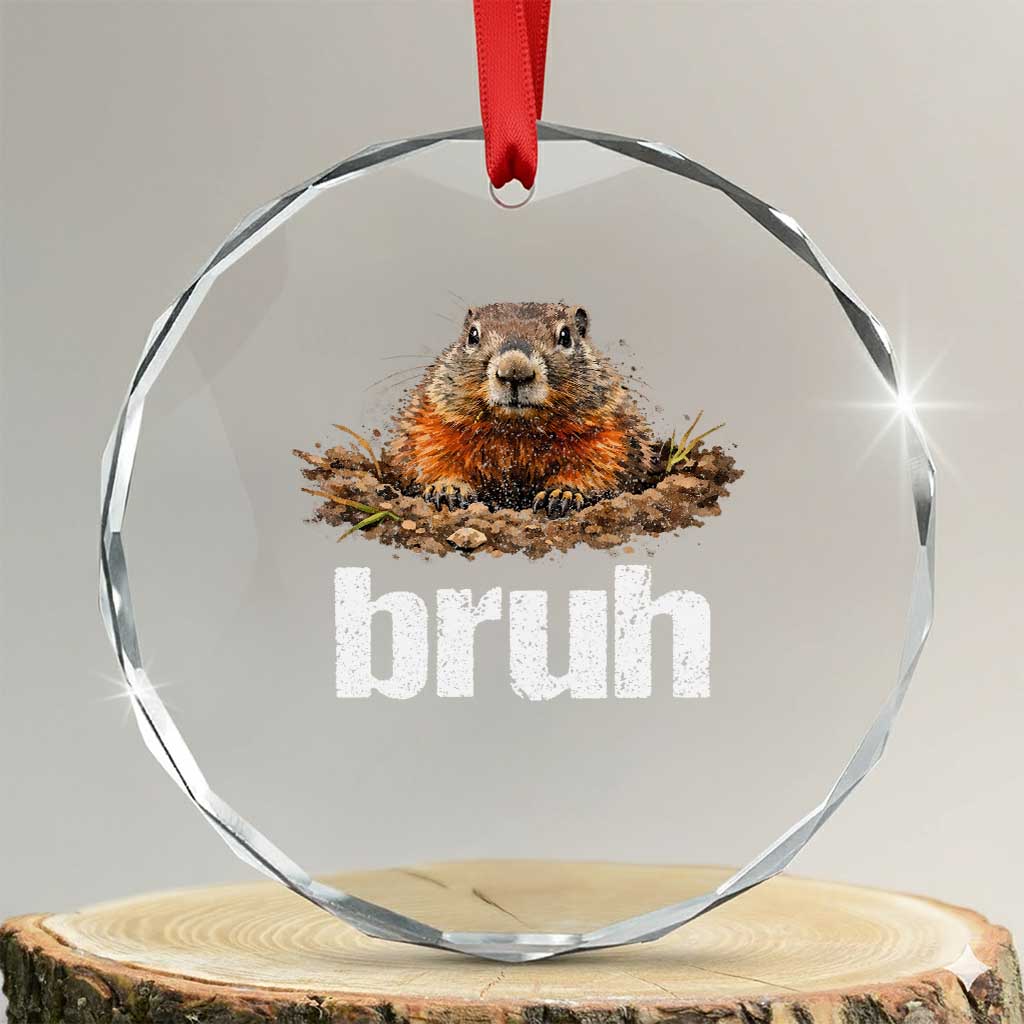 Funny Groundhog Crystal Glass Ornament Ground Hog Meme Lover Bruh Groundhog Day - Wonder Print Shop