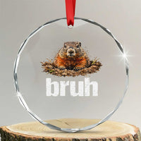 Funny Groundhog Crystal Glass Ornament Ground Hog Meme Lover Bruh Groundhog Day - Wonder Print Shop