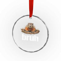 Funny Groundhog Crystal Glass Ornament Ground Hog Meme Lover Bruh Groundhog Day - Wonder Print Shop