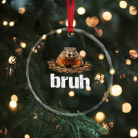 Funny Groundhog Crystal Glass Ornament Ground Hog Meme Lover Bruh Groundhog Day - Wonder Print Shop