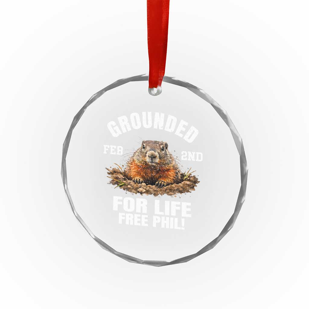 Funny Groundhog Crystal Glass Ornament Grounded For Life Ground Hog Day - Wonder Print Shop
