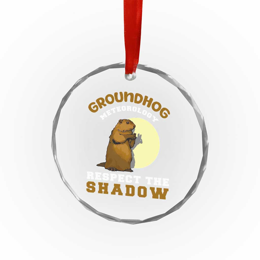 Funny Groundhog Day Crystal Glass Ornament Groundhog Meteorology Respect The Shadow - Wonder Print Shop