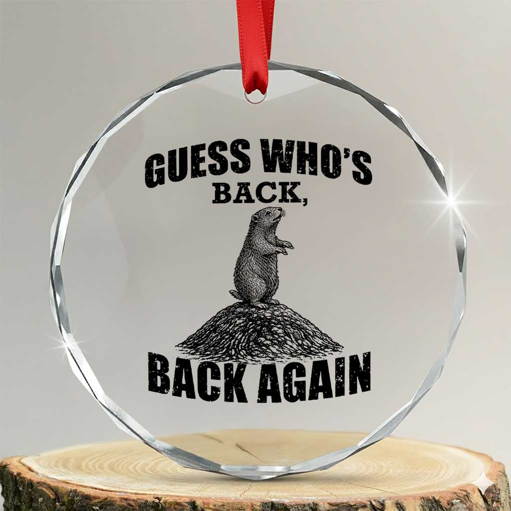 Funny Groundhog Day Crystal Glass Ornament Retro Guess Whos Back - Wonder Print Shop
