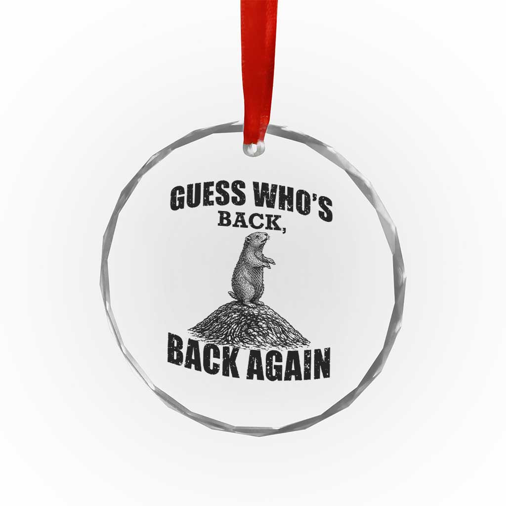 Funny Groundhog Day Crystal Glass Ornament Retro Guess Whos Back - Wonder Print Shop
