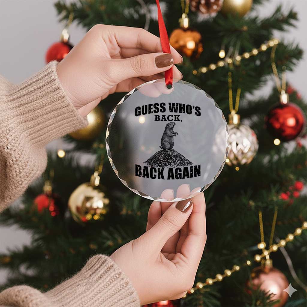 Funny Groundhog Day Crystal Glass Ornament Retro Guess Whos Back - Wonder Print Shop