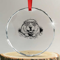 Funny Groundhog Face Woodchuck Sunglassess Crystal Glass Ornament - Wonder Print Shop