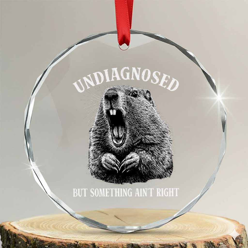 Funny Groundhog Meme Undiagnosed But Something Aint Right Crystal Glass Ornament - Wonder Print Shop