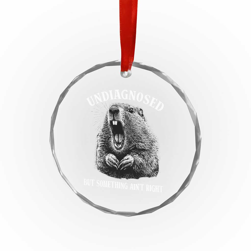 Funny Groundhog Meme Undiagnosed But Something Aint Right Crystal Glass Ornament - Wonder Print Shop