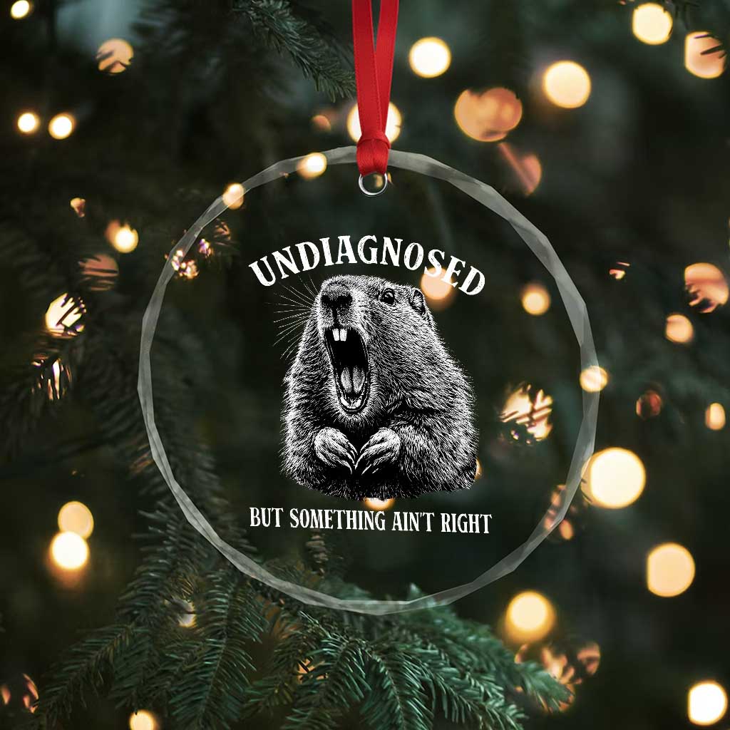 Funny Groundhog Meme Undiagnosed But Something Aint Right Crystal Glass Ornament - Wonder Print Shop