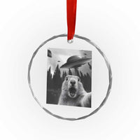 Funny Groundhog Selfie With Alien UFOs Weird Ground Hog Day Crystal Glass Ornament - Wonder Print Shop