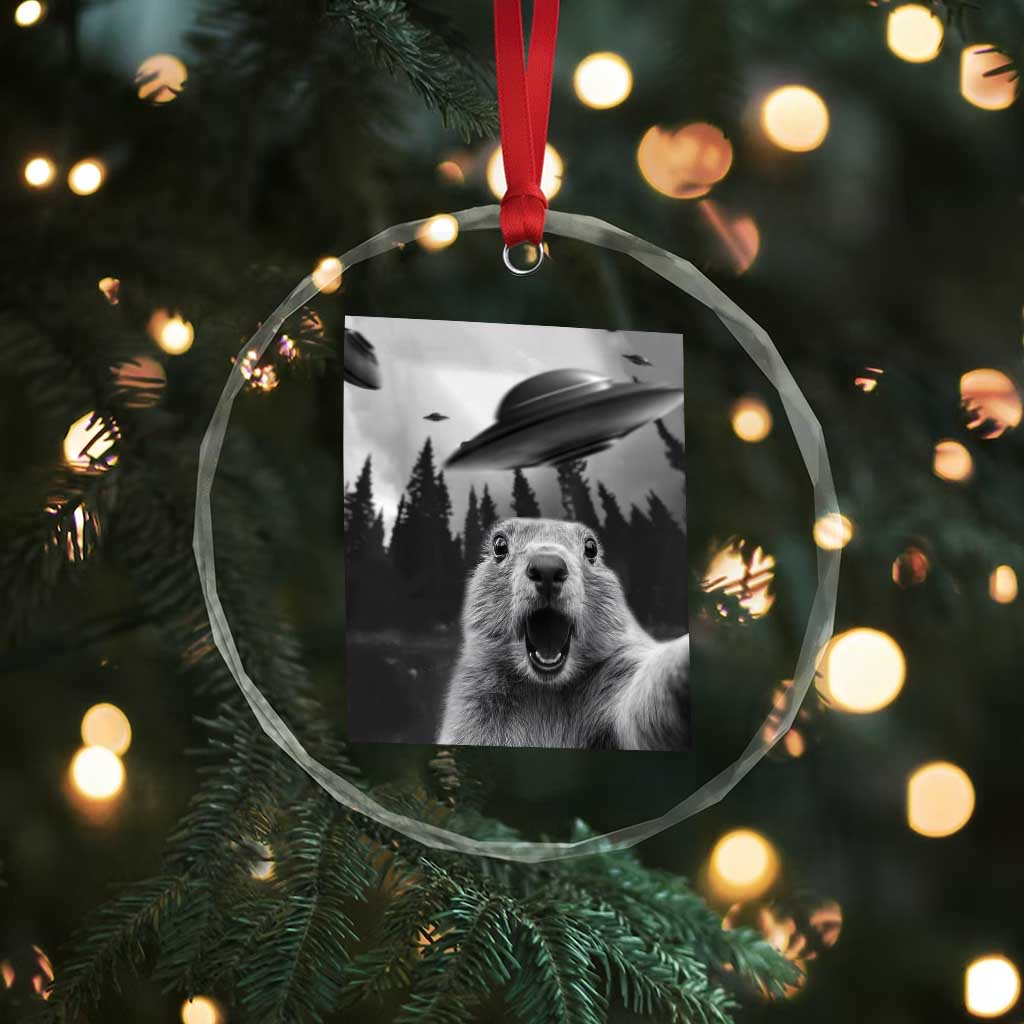 Funny Groundhog Selfie With Alien UFOs Weird Ground Hog Day Crystal Glass Ornament - Wonder Print Shop