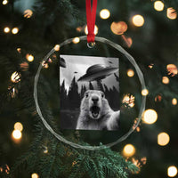 Funny Groundhog Selfie With Alien UFOs Weird Ground Hog Day Crystal Glass Ornament - Wonder Print Shop