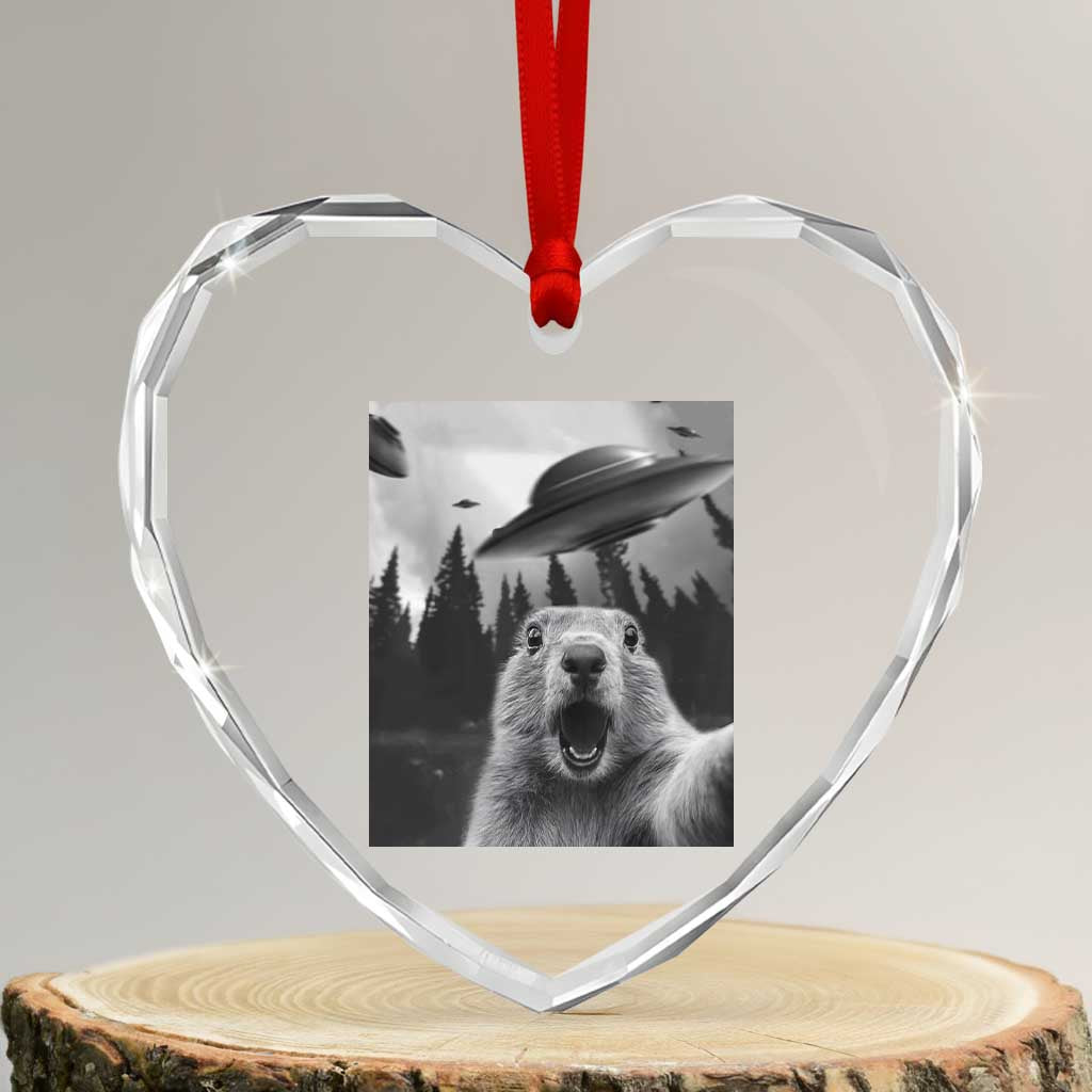 Funny Groundhog Selfie With Alien UFOs Weird Ground Hog Day Heart Crystal Glass Ornament - Wonder Print Shop