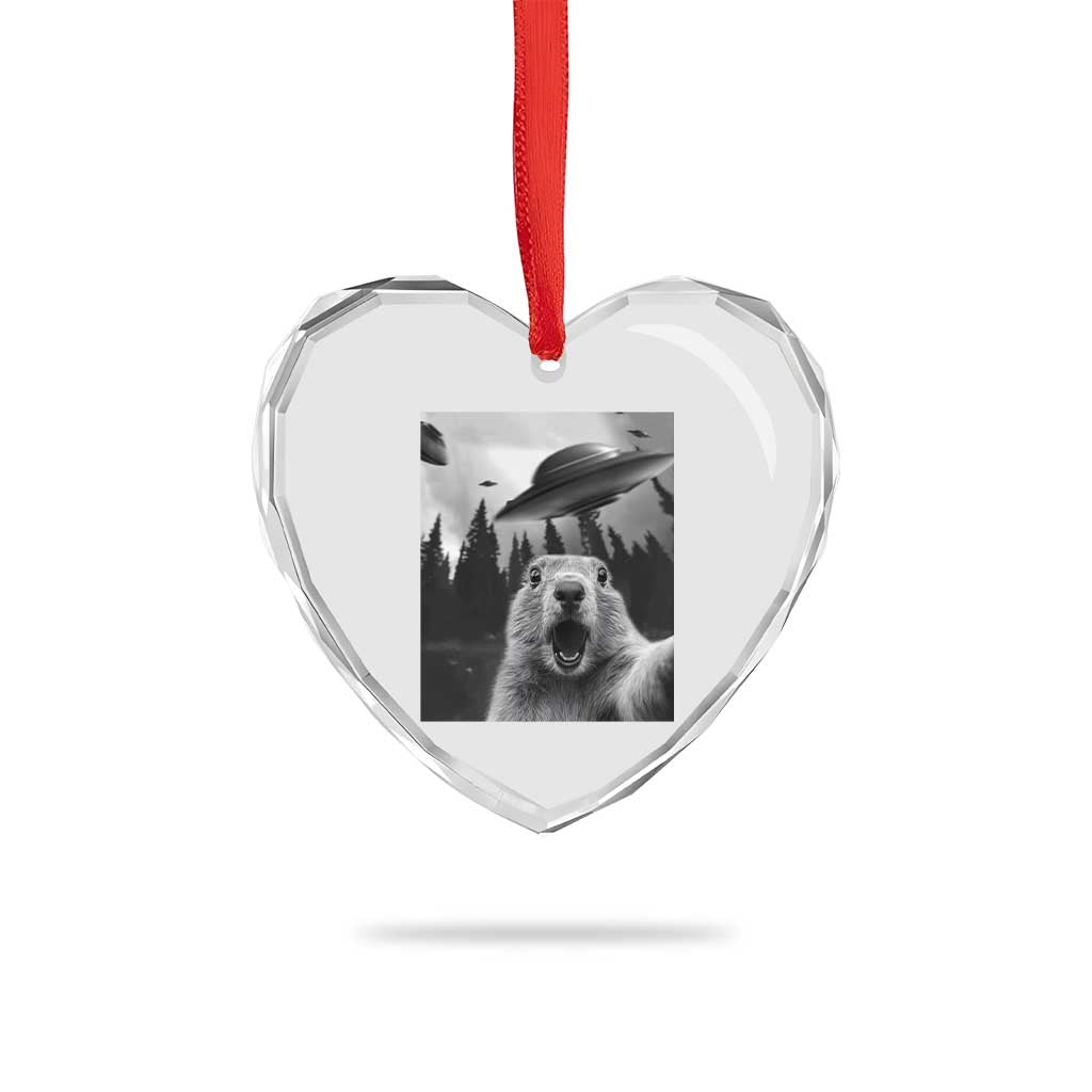 Funny Groundhog Selfie With Alien UFOs Weird Ground Hog Day Heart Crystal Glass Ornament - Wonder Print Shop
