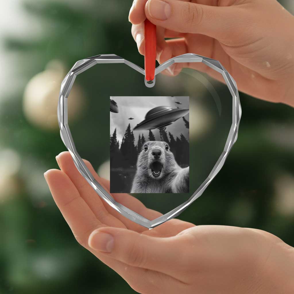 Funny Groundhog Selfie With Alien UFOs Weird Ground Hog Day Heart Crystal Glass Ornament - Wonder Print Shop