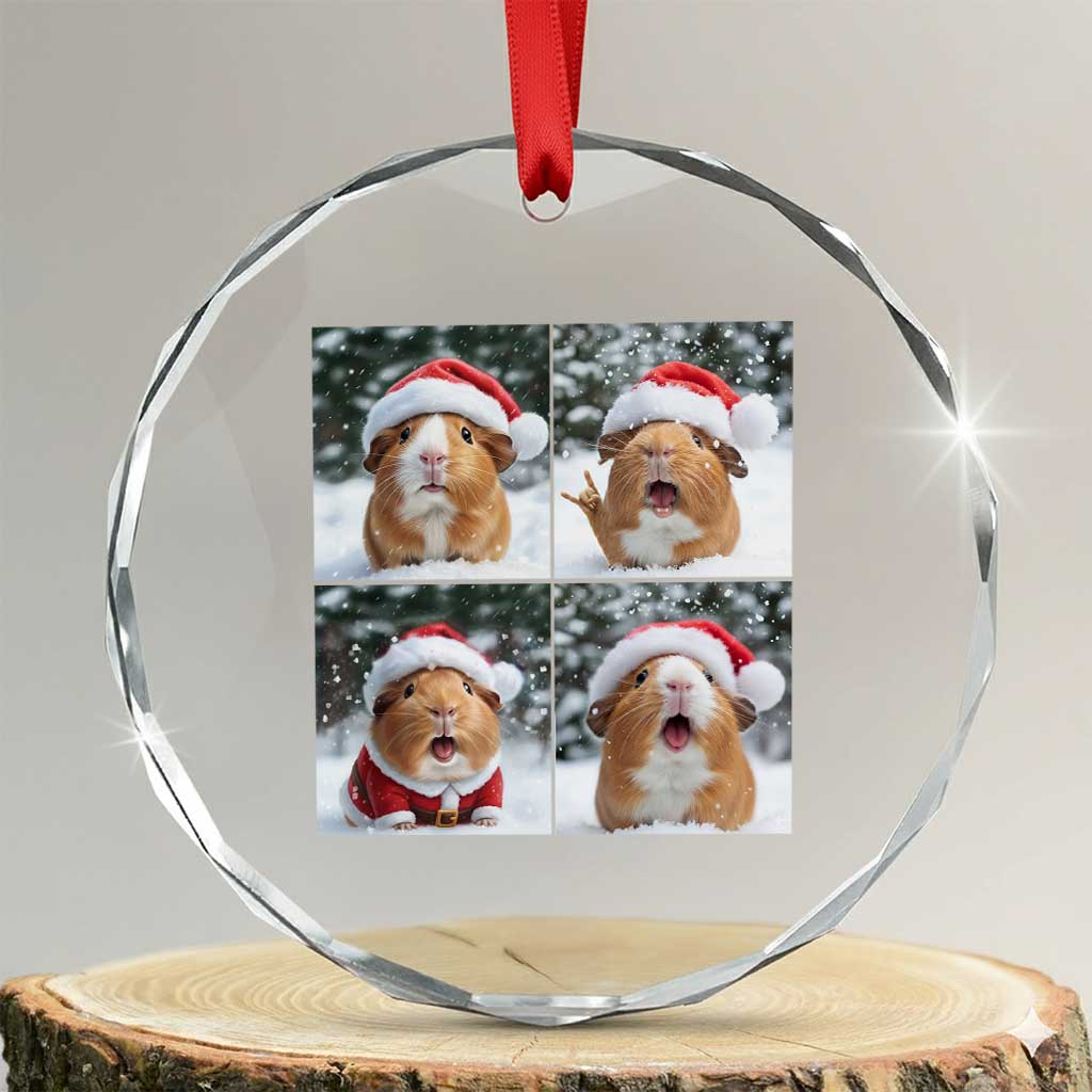 Funny Guinea Pig With Santa Hat Photobooth Crystal Glass Ornament Christmas Gift - Wonder Print Shop