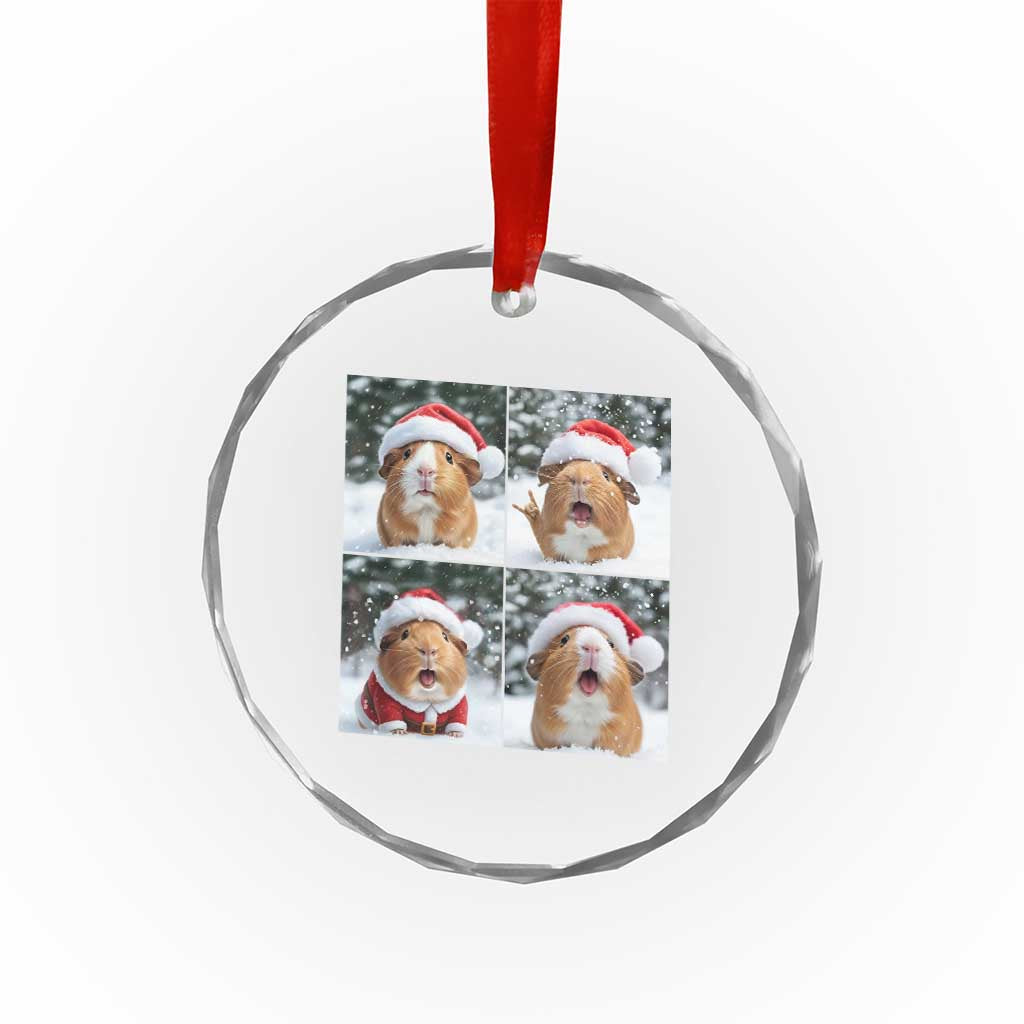 Funny Guinea Pig With Santa Hat Photobooth Crystal Glass Ornament Christmas Gift - Wonder Print Shop