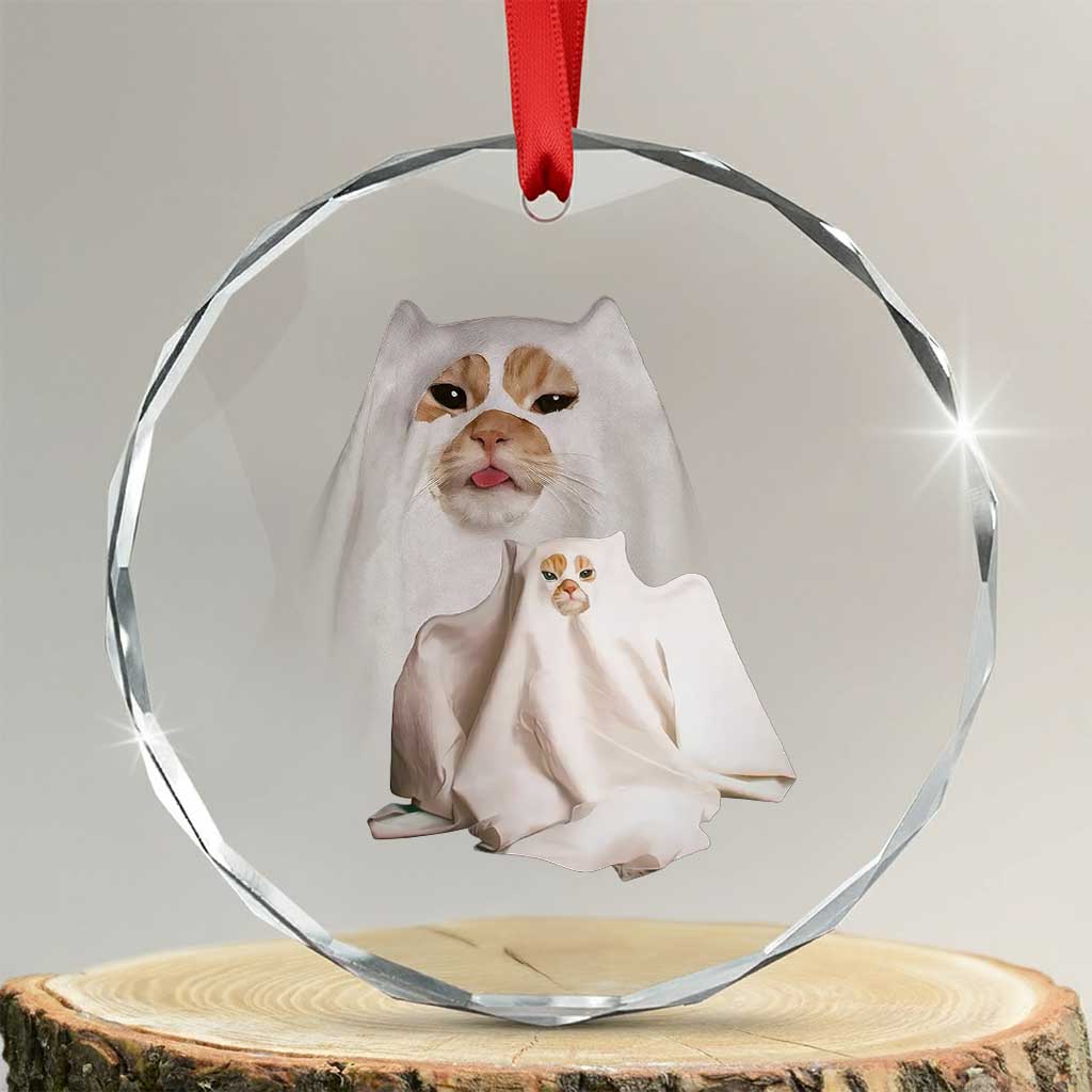 Funny Halloween Ghost Cat Meme Crystal Glass Ornament TS10
