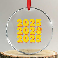 Funny Happy New Year 2025 Crystal Glass Ornament TS09