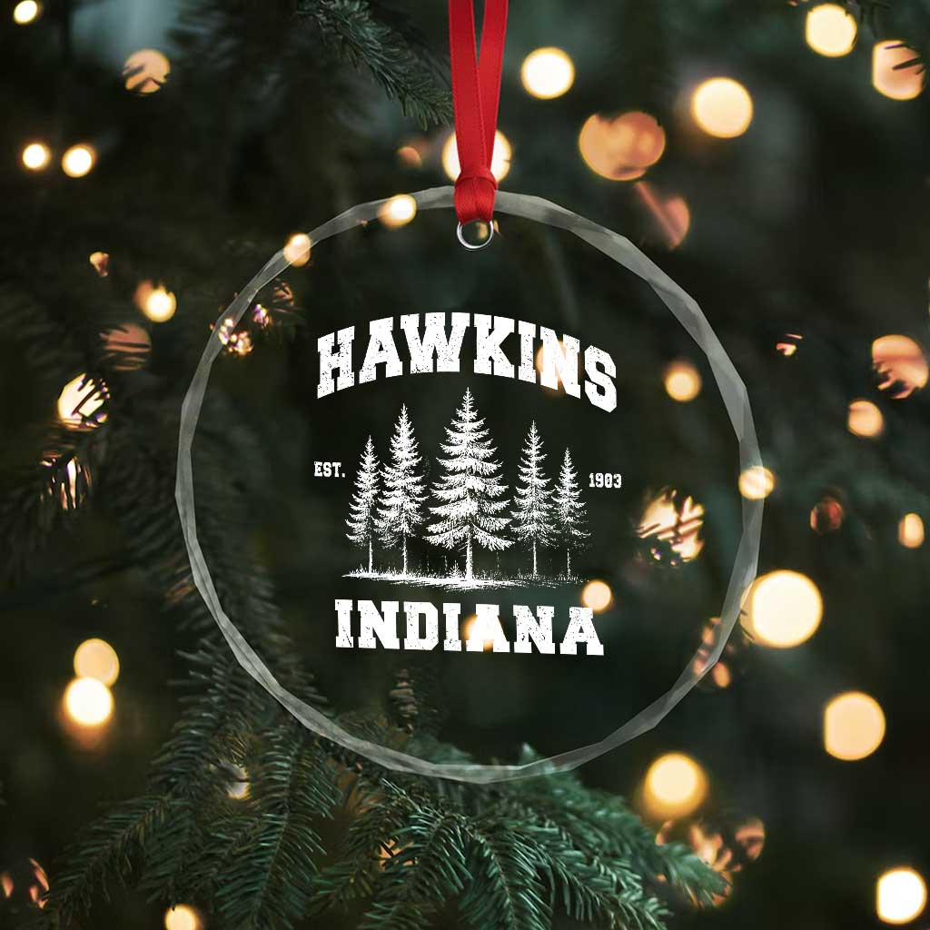 Funny Hawkins Sci Fi Lover Crystal Glass Ornament Indiana Strangers Pine Tree - Wonder Print Shop