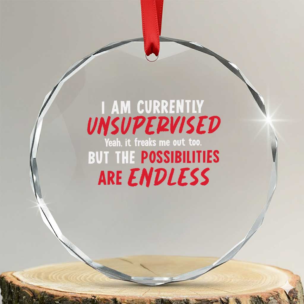 Funny I Am Currently Unsupervised But The Possibilities Are Endless Crystal Glass Ornament