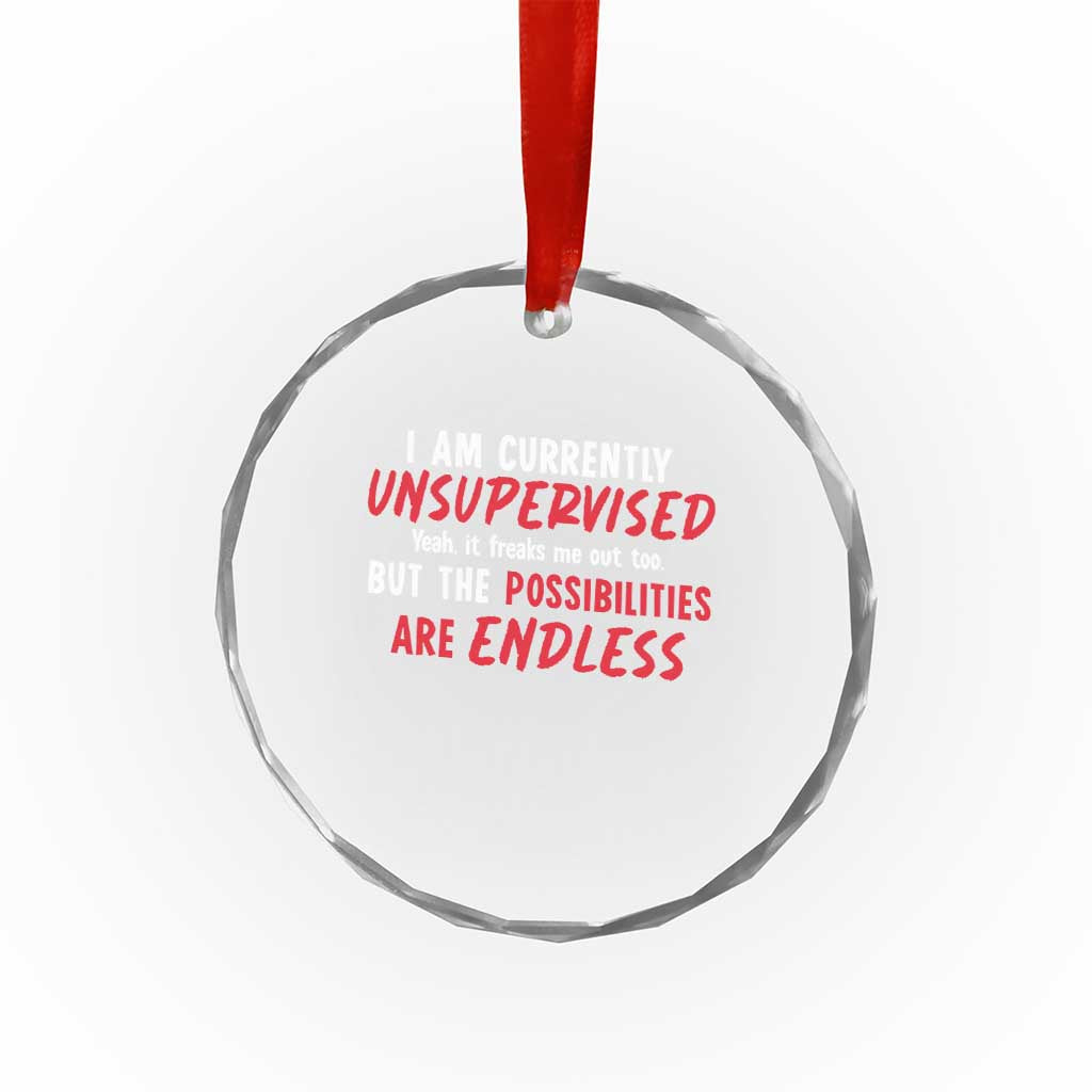 Funny I Am Currently Unsupervised But The Possibilities Are Endless Crystal Glass Ornament