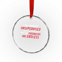 Funny I Am Currently Unsupervised But The Possibilities Are Endless Crystal Glass Ornament
