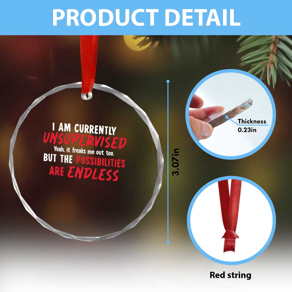 Funny I Am Currently Unsupervised But The Possibilities Are Endless Crystal Glass Ornament