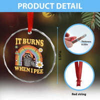 Funny It Burns When I Pee Crystal Glass Ornament Sarcastic Burning Racoon Meme - Wonder Print Shop
