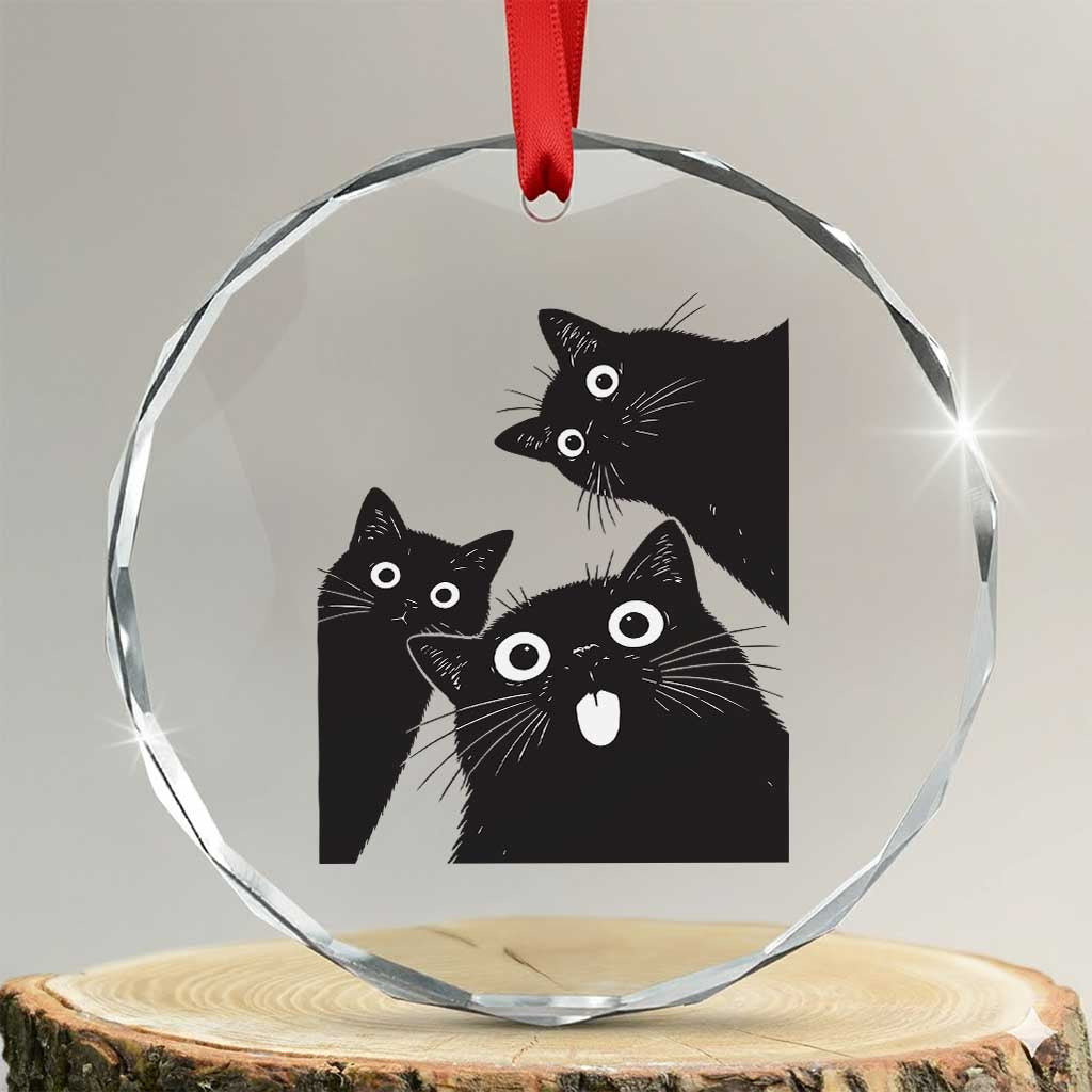 Funny Japanese Black Cat Is Watching You Crystal Glass Ornament Cat Lover