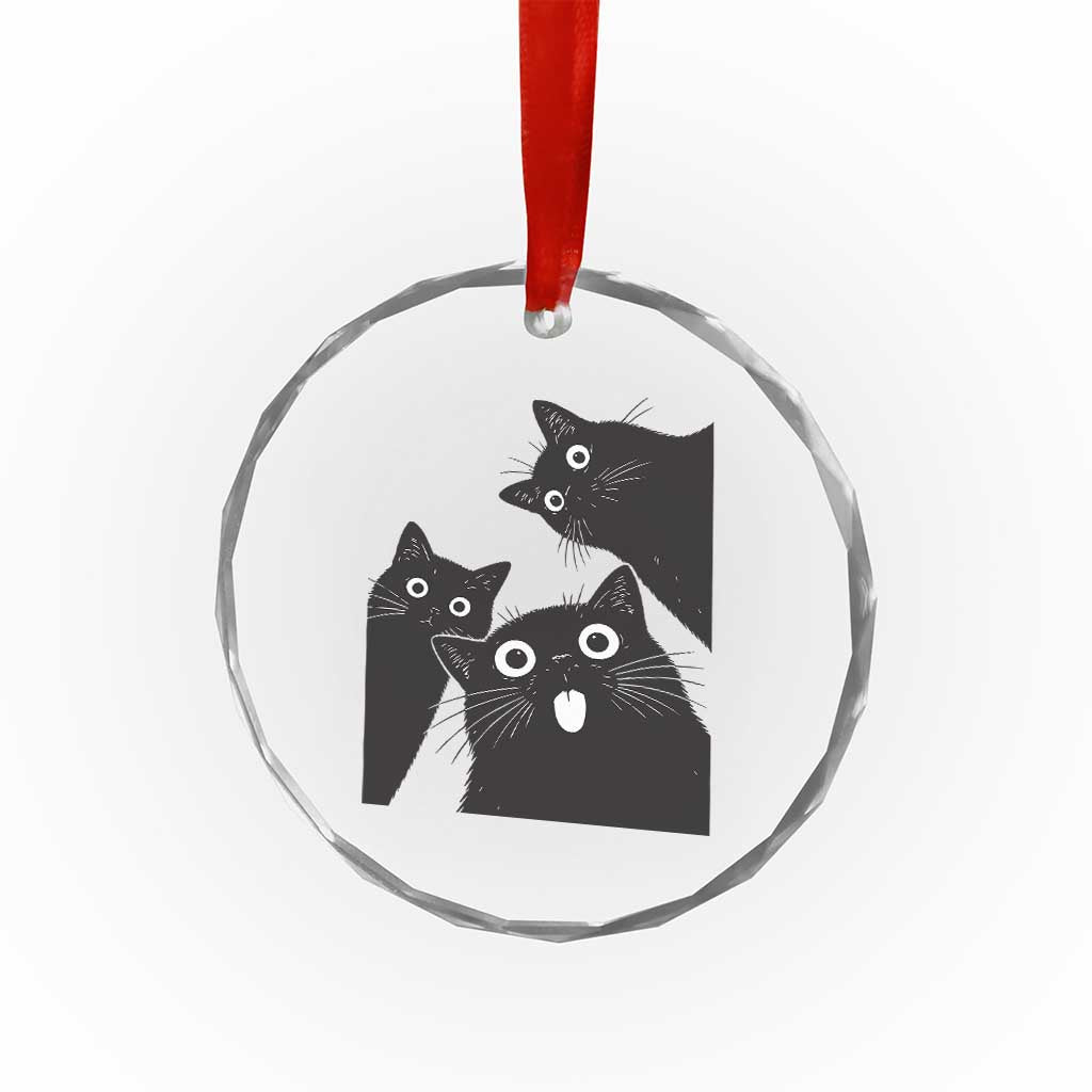 Funny Japanese Black Cat Is Watching You Crystal Glass Ornament Cat Lover