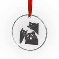 Funny Japanese Black Cat Is Watching You Crystal Glass Ornament Cat Lover