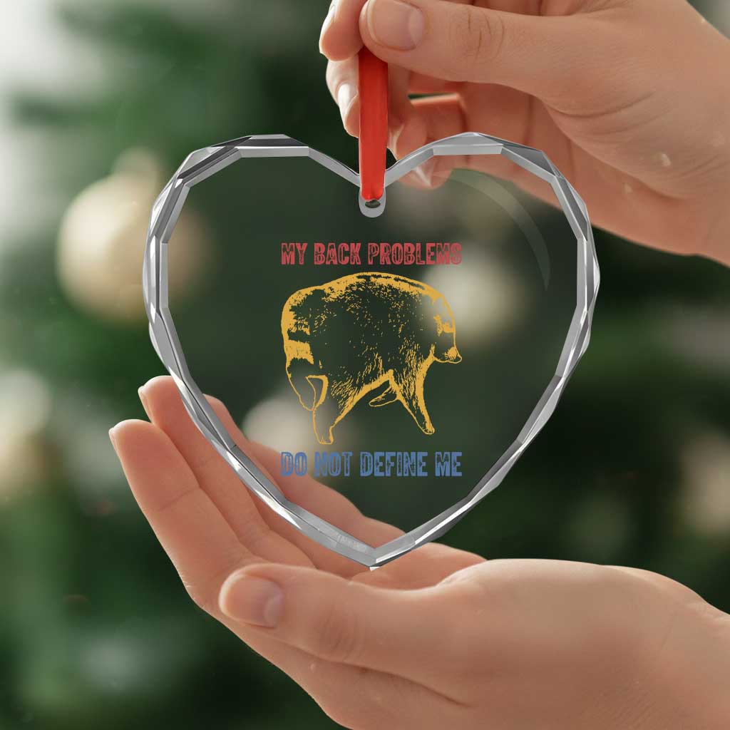 Funny Jimothy Meme Back Pain Humor Heart Crystal Glass Ornament My Back Problems Do Not Define Me Viral Seattle Raccoon