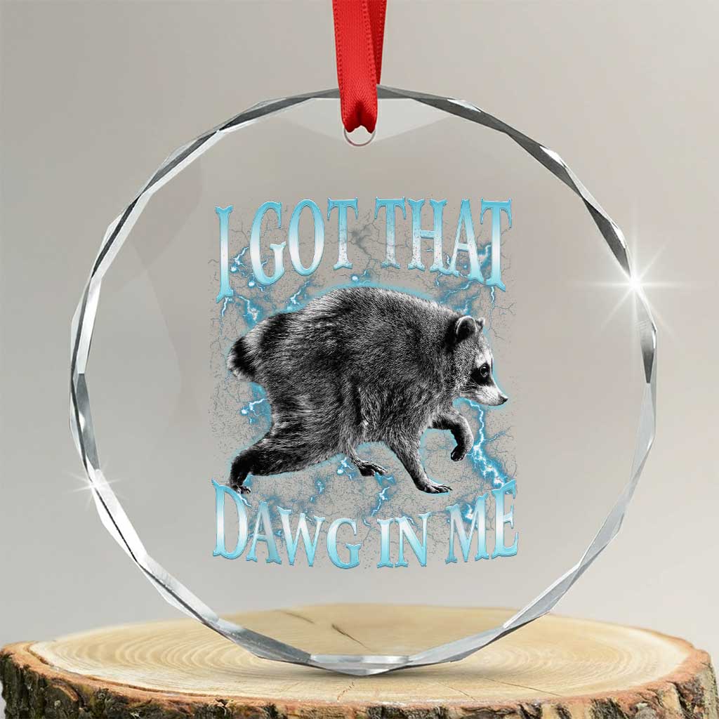 Funny Jimothy The Raccoon Crystal Glass Ornament I Got That Dawg In Me Bootleg Art