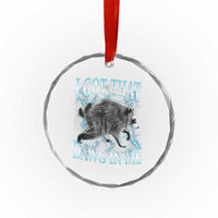 Funny Jimothy The Raccoon Crystal Glass Ornament I Got That Dawg In Me Bootleg Art