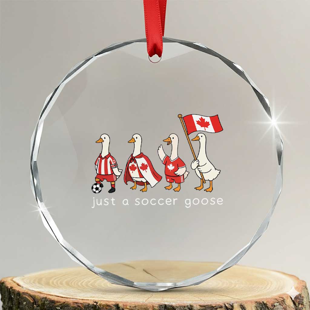 Funny Just A Soccer Goose Crystal Glass Ornament Canada Soccer Lover