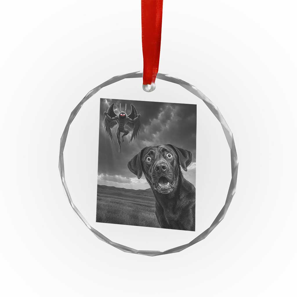 Funny Labrador Selfie With Mothman Crystal Glass Ornament Cryptid Gift - Wonder Print Shop