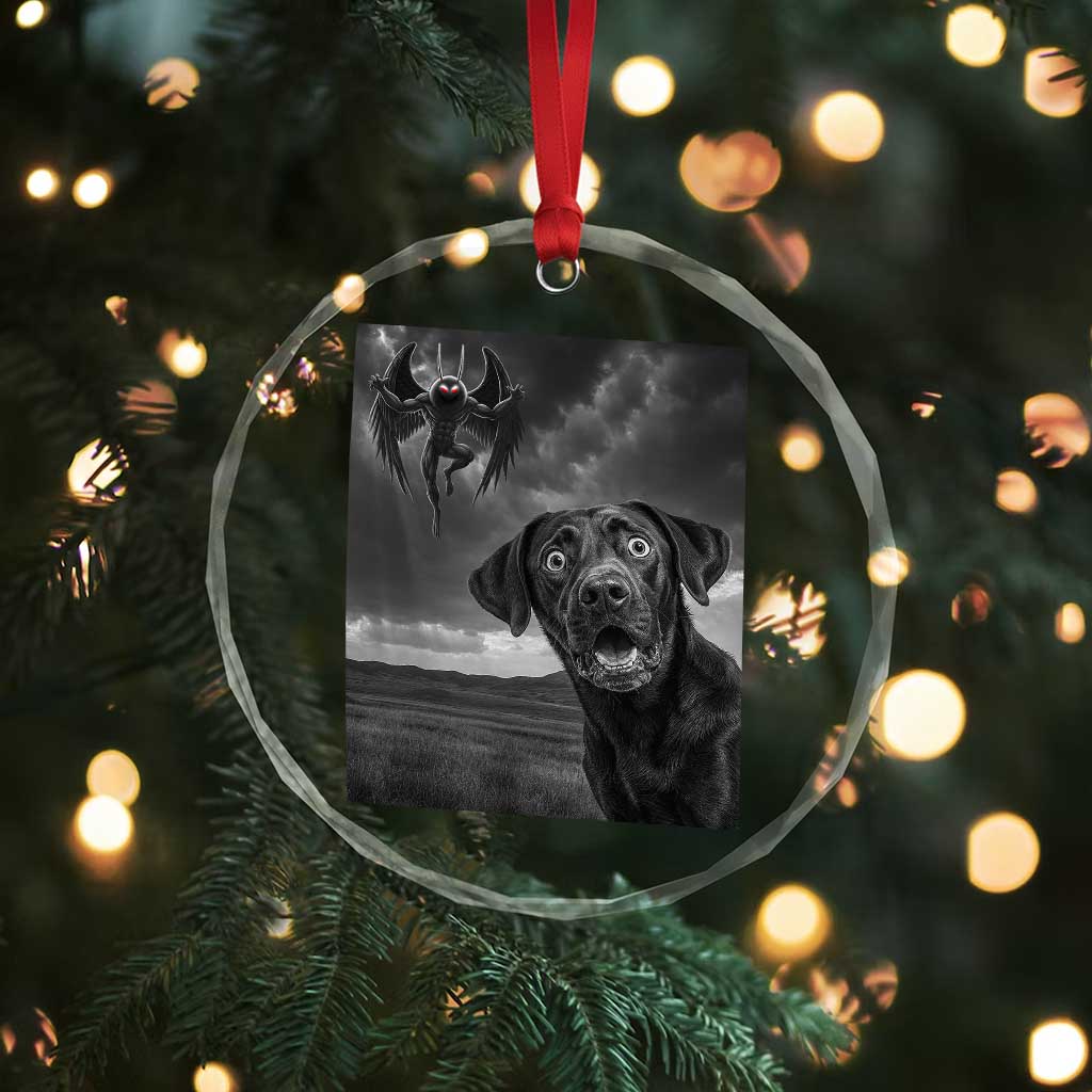 Funny Labrador Selfie With Mothman Crystal Glass Ornament Cryptid Gift - Wonder Print Shop